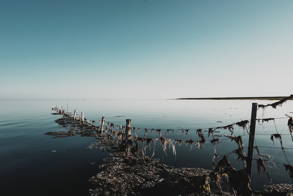 brown wooden fence on body of water during daytime