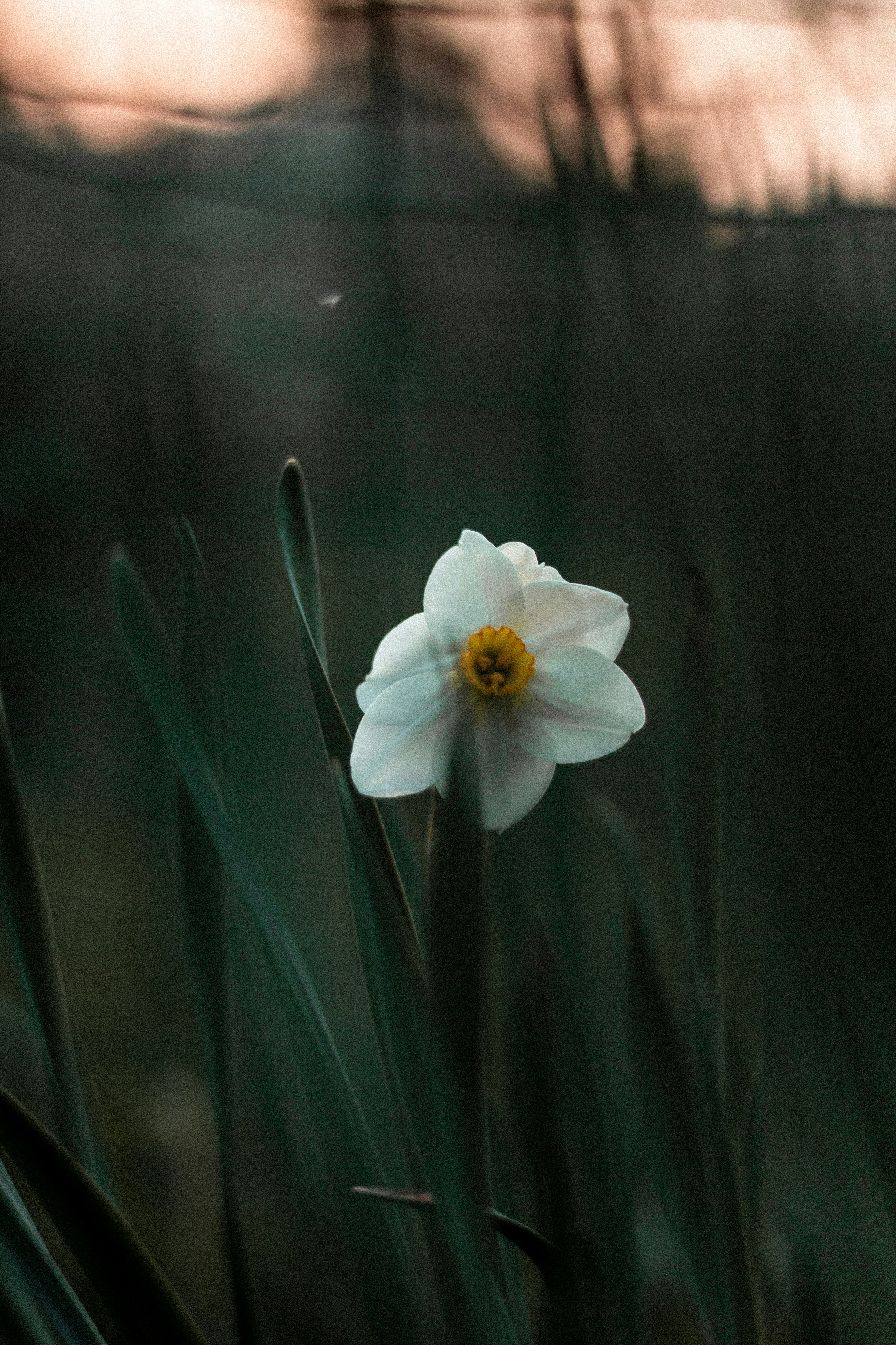 Photo by tinnnc