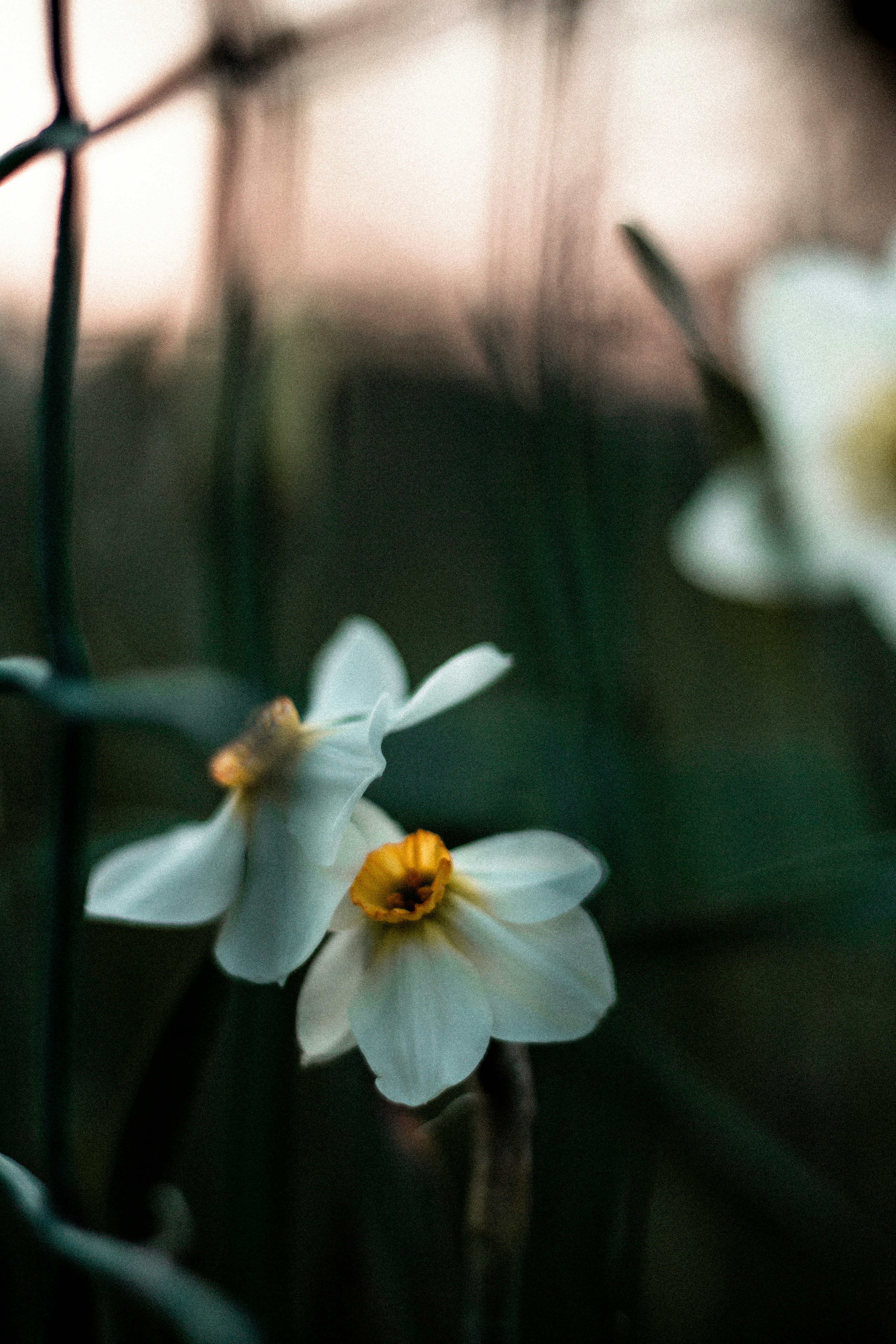 Photo by tinnnc