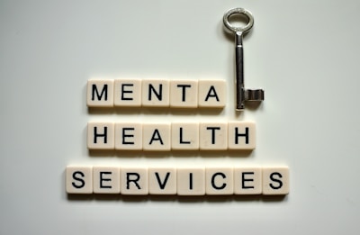 Professional counsellor supervision meeting