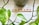 Arranged Scrabble tiles spell out the word 'THERAPY' on a white surface. Bright green leaves frame the image, with a plant pot in the background contributing an organic and serene aesthetic.