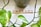 Arranged Scrabble tiles spell out the word 'THERAPY' on a white surface. Bright green leaves frame the image, with a plant pot in the background contributing an organic and serene aesthetic.