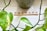 Arranged Scrabble tiles spell out the word 'THERAPY' on a white surface. Bright green leaves frame the image, with a plant pot in the background contributing an organic and serene aesthetic.