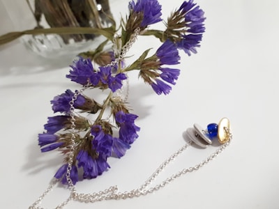 A delicate arrangement featuring dried purple flowers accompanied by a silver chain necklace. The flowers are slightly tilted with a soft-focused background, enhancing their vibrant hue. The necklace, partly coiled, showcases a small gold disc and a blue bead, adding a touch of elegance.