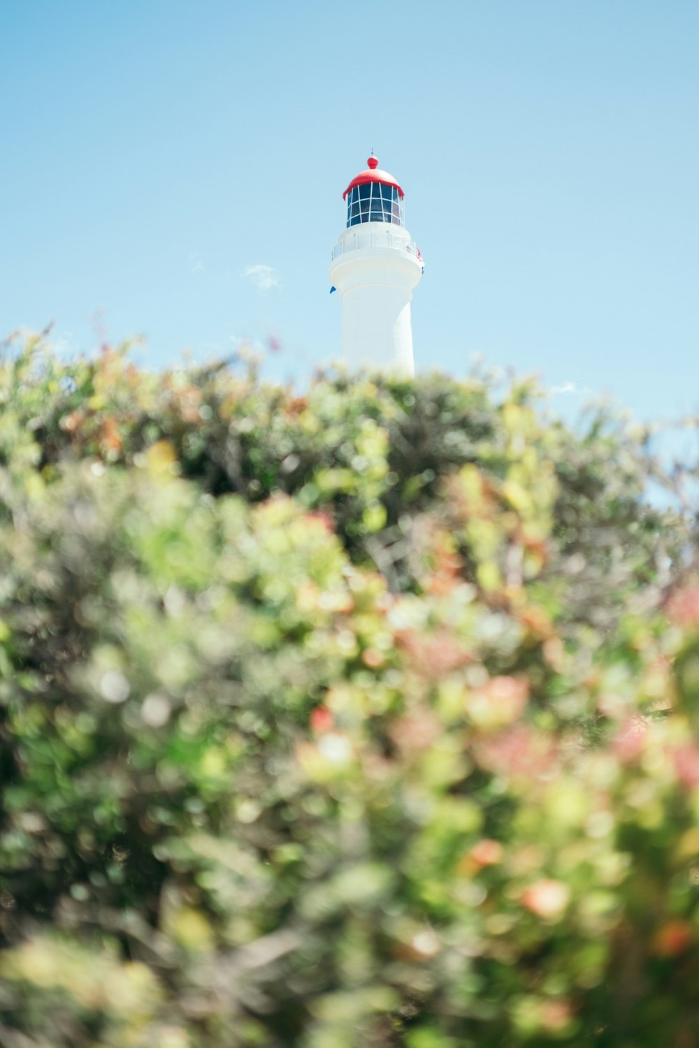 white and blue lighthouse under blue sky during daytime
