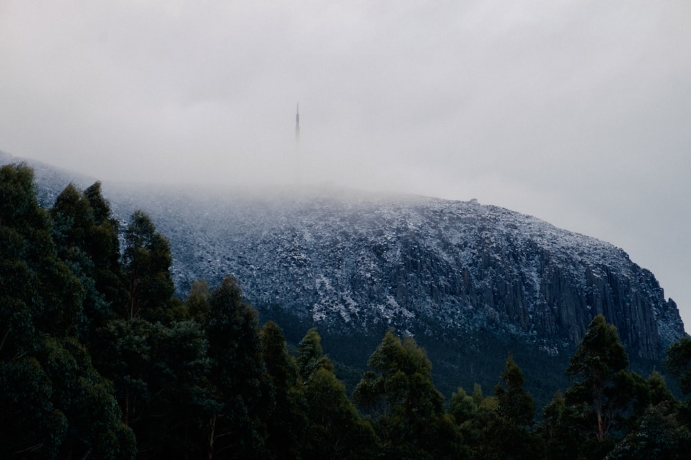 árboles verdes en la montaña bajo el cielo blanco durante el día