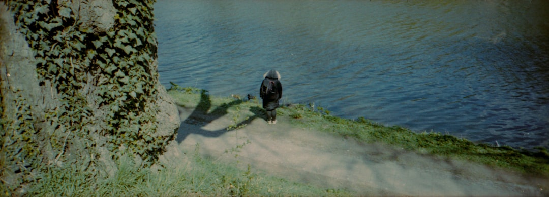 black short coated dog on green grass near body of water during daytime