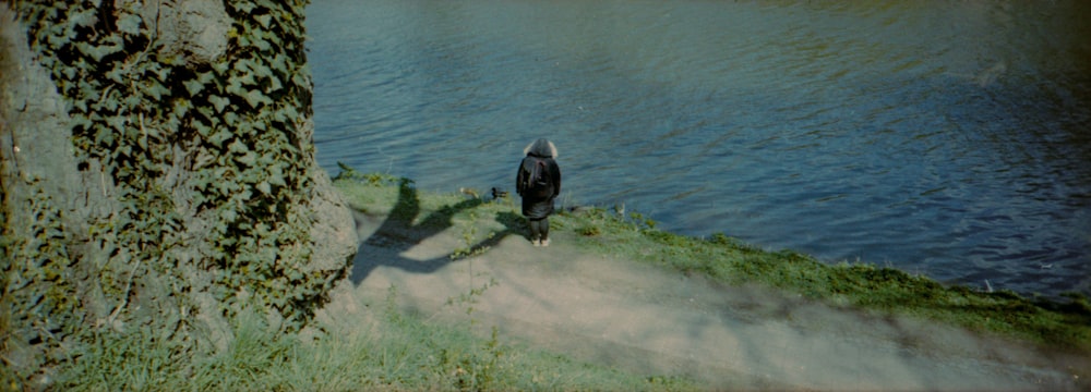 black short coated dog on green grass near body of water during daytime