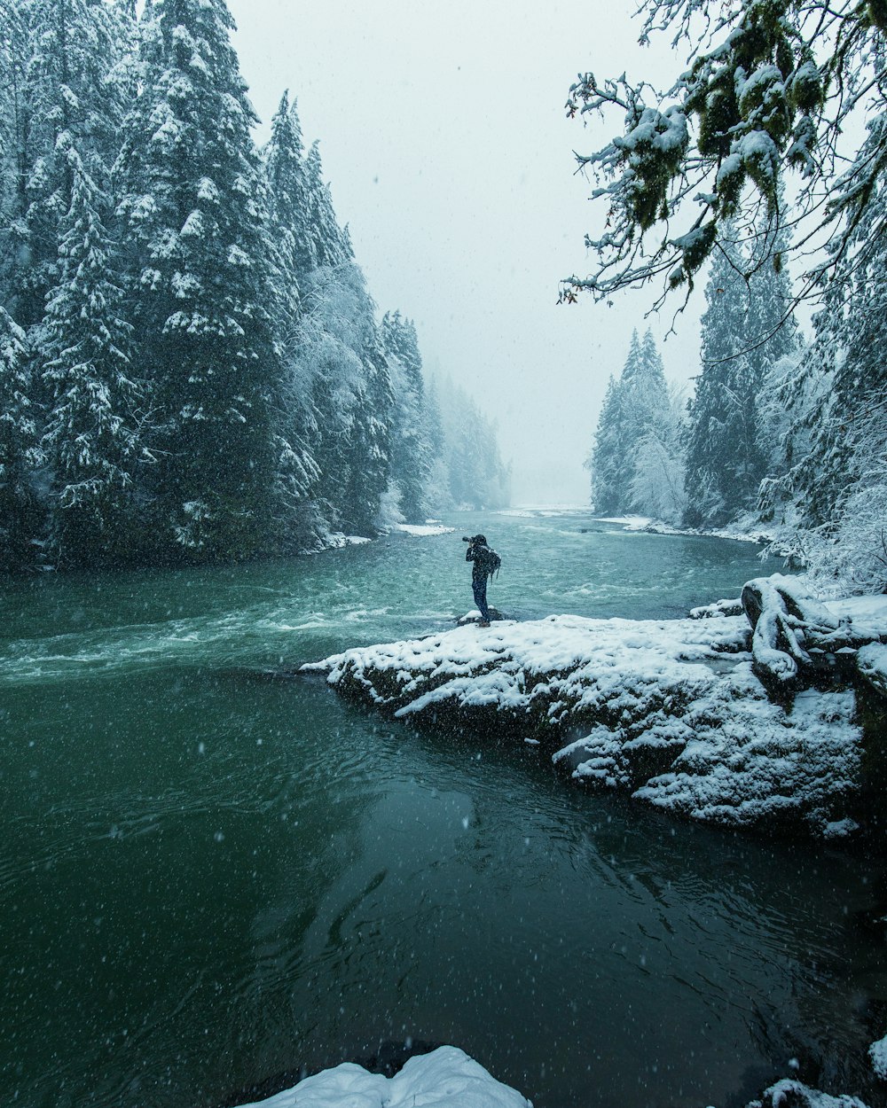 person standing on rock in the middle of the forest