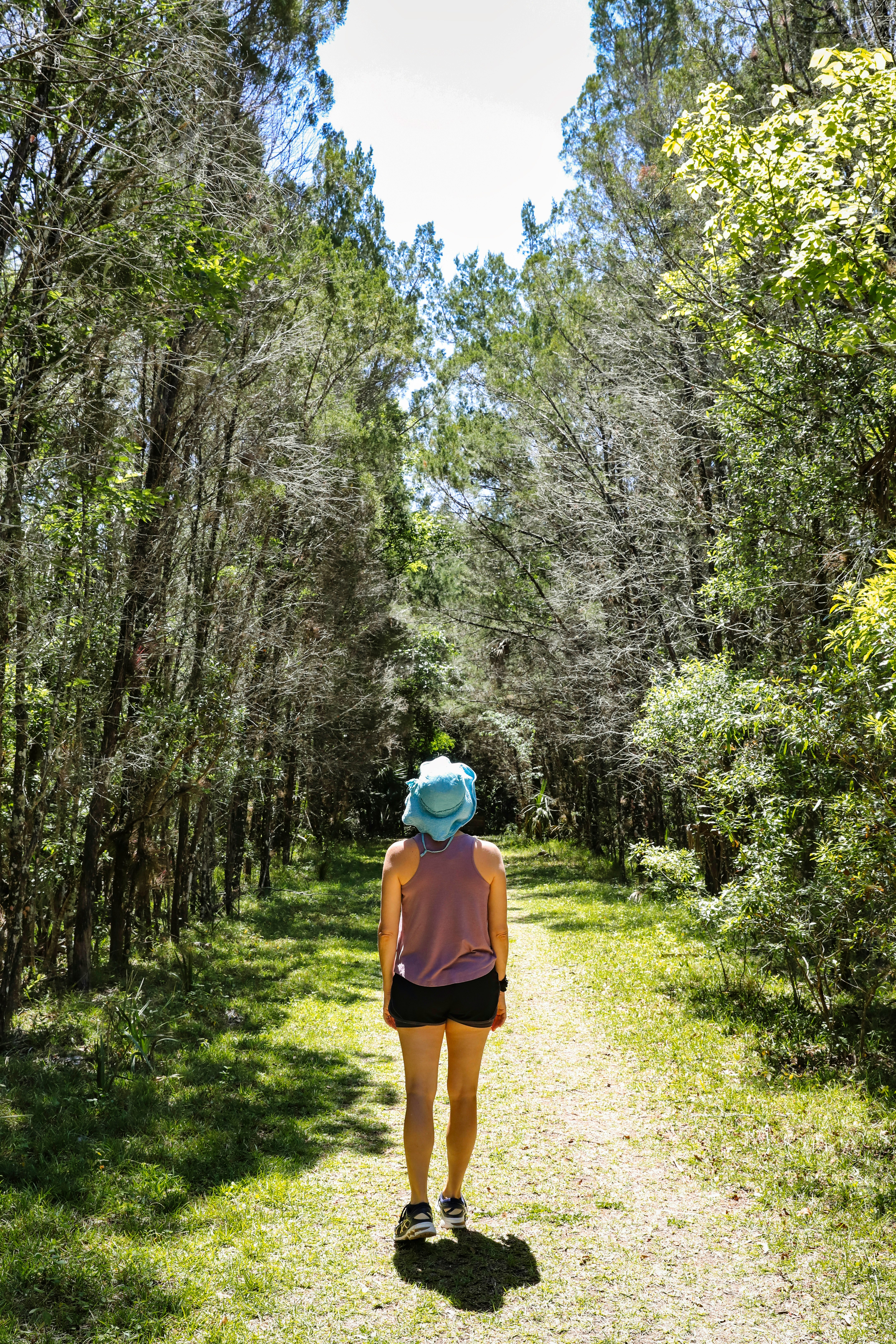 woman in blue shirt and brown skirt standing in the middle of forest during daytime