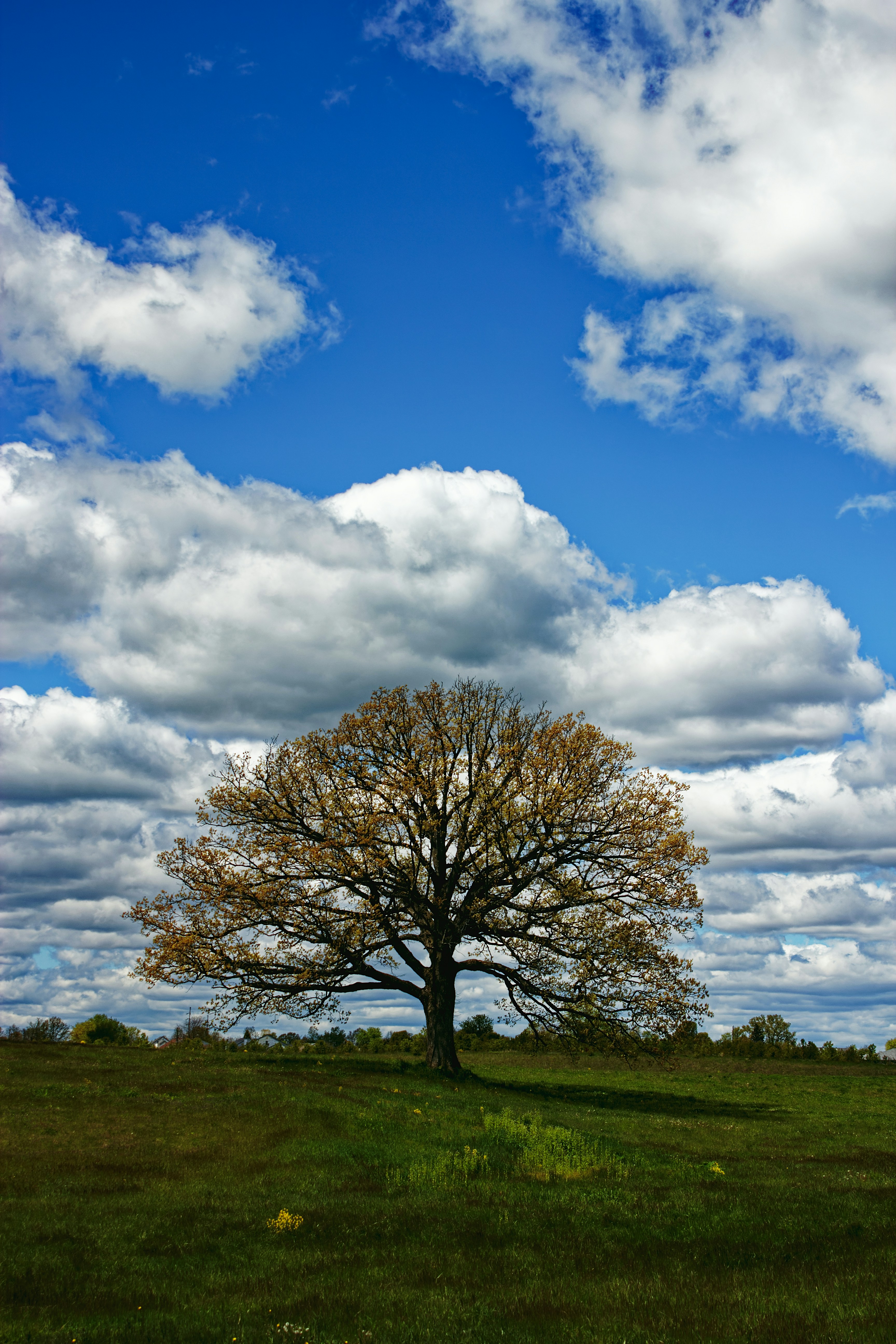 Photo by mrgreatheart