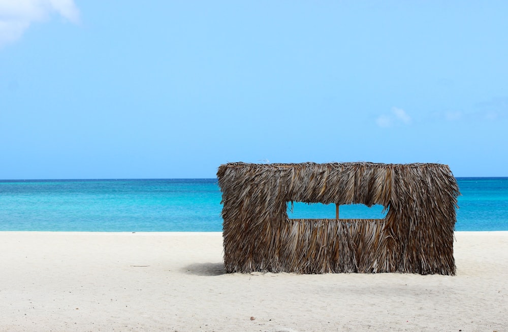 brown wooden log on beach shore during daytime