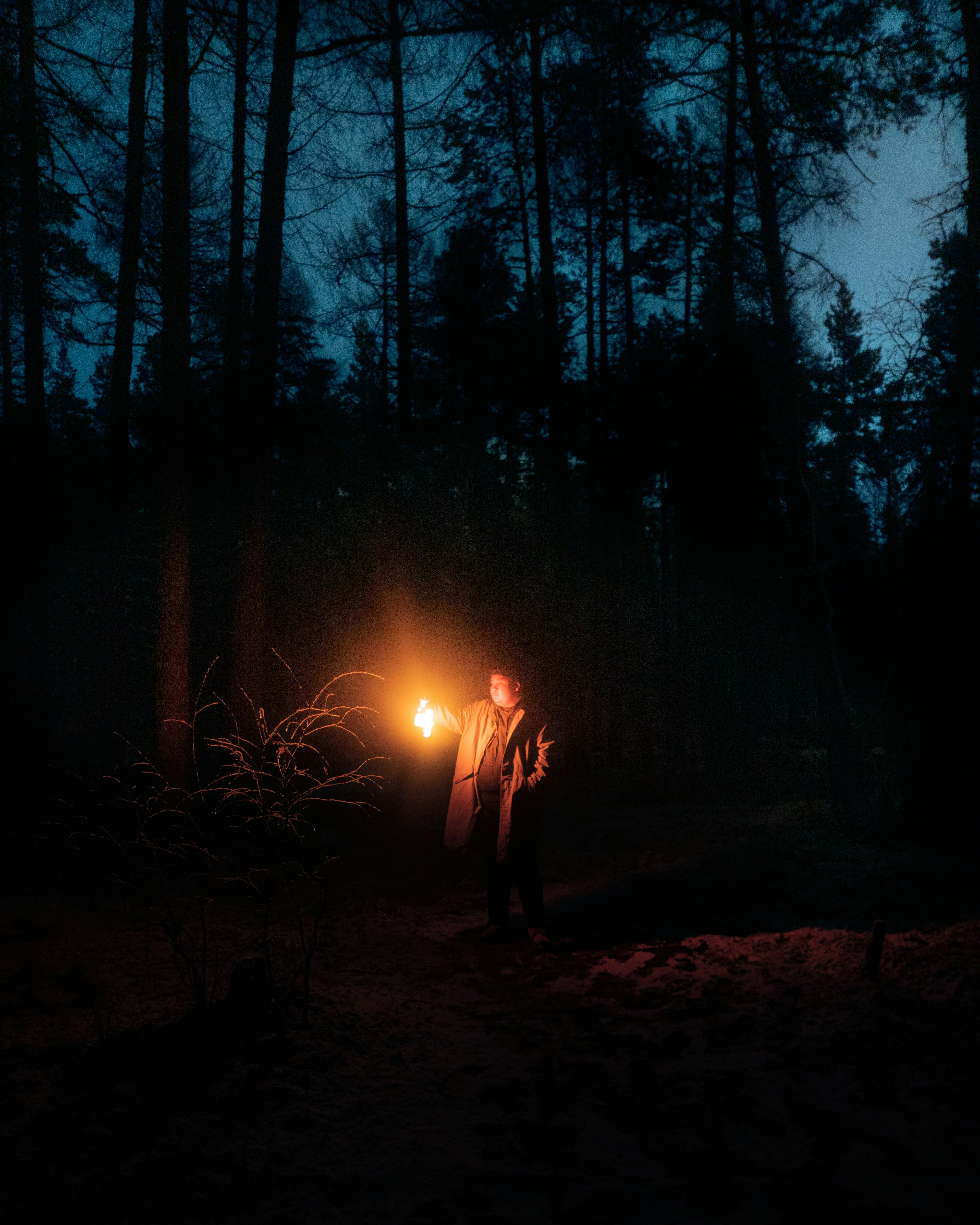 person in black jacket standing in forest during night time