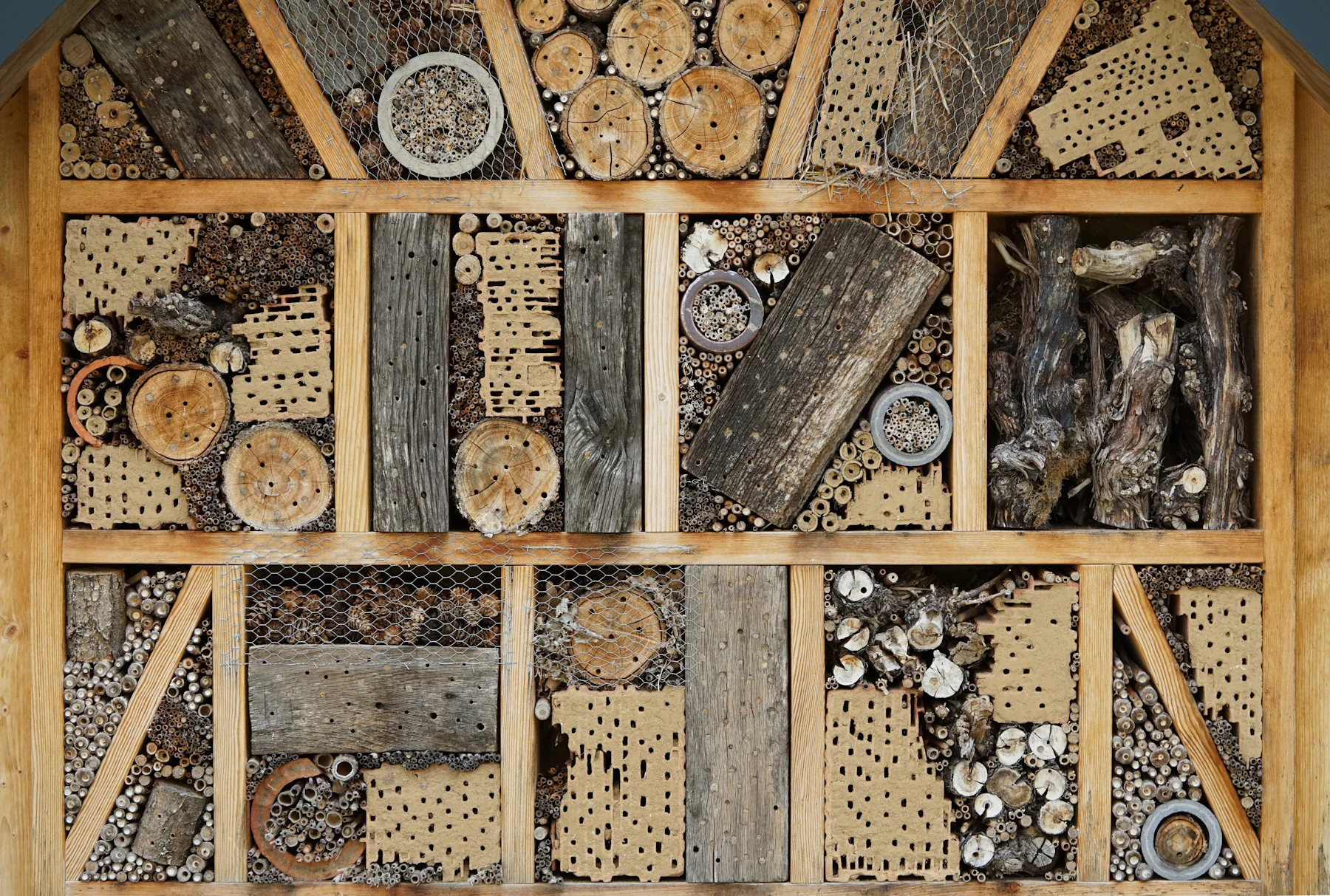 A wooden frame of compartments filled with drilled logs, stems and bark