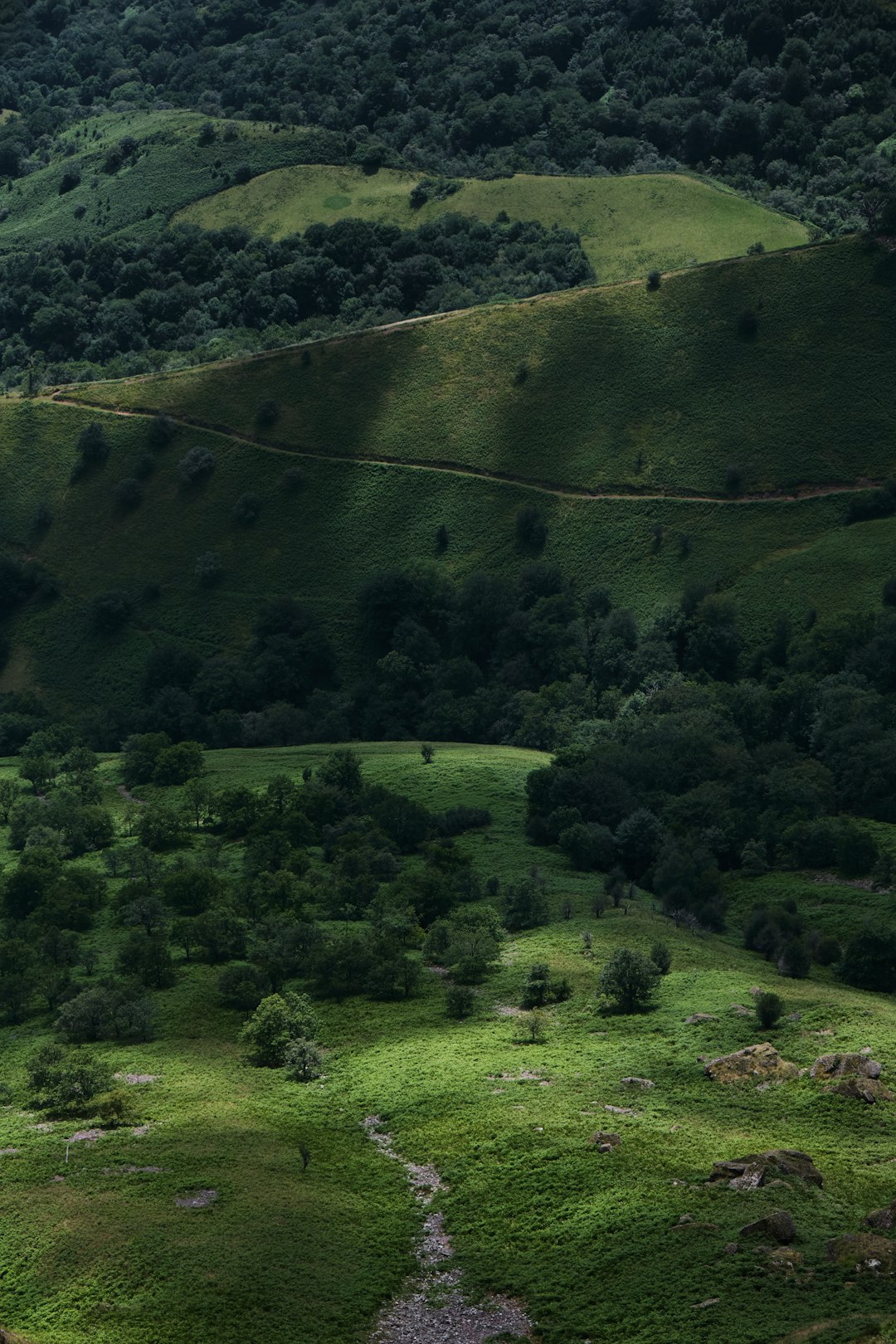 green grass field during daytime