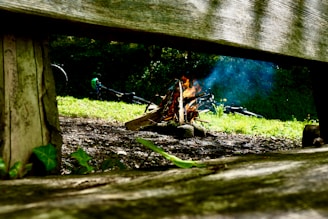 A campfire burns with flames and smoke rising against a backdrop of greenery and forest. A bicycle lies on the grass in the background. The perspective is framed by a wooden bench, giving a cozy, outdoor feel.