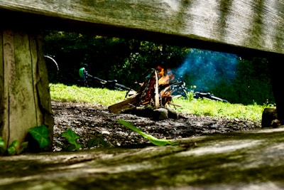 A campfire burns with flames and smoke rising against a backdrop of greenery and forest. A bicycle lies on the grass in the background. The perspective is framed by a wooden bench, giving a cozy, outdoor feel.