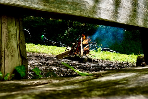 A campfire burns with flames and smoke rising against a backdrop of greenery and forest. A bicycle lies on the grass in the background. The perspective is framed by a wooden bench, giving a cozy, outdoor feel.