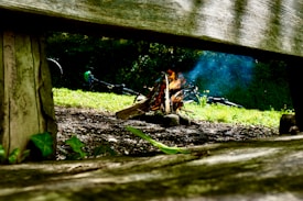 A campfire burns with flames and smoke rising against a backdrop of greenery and forest. A bicycle lies on the grass in the background. The perspective is framed by a wooden bench, giving a cozy, outdoor feel.