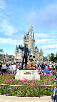 people walking on park near disney castle during daytime