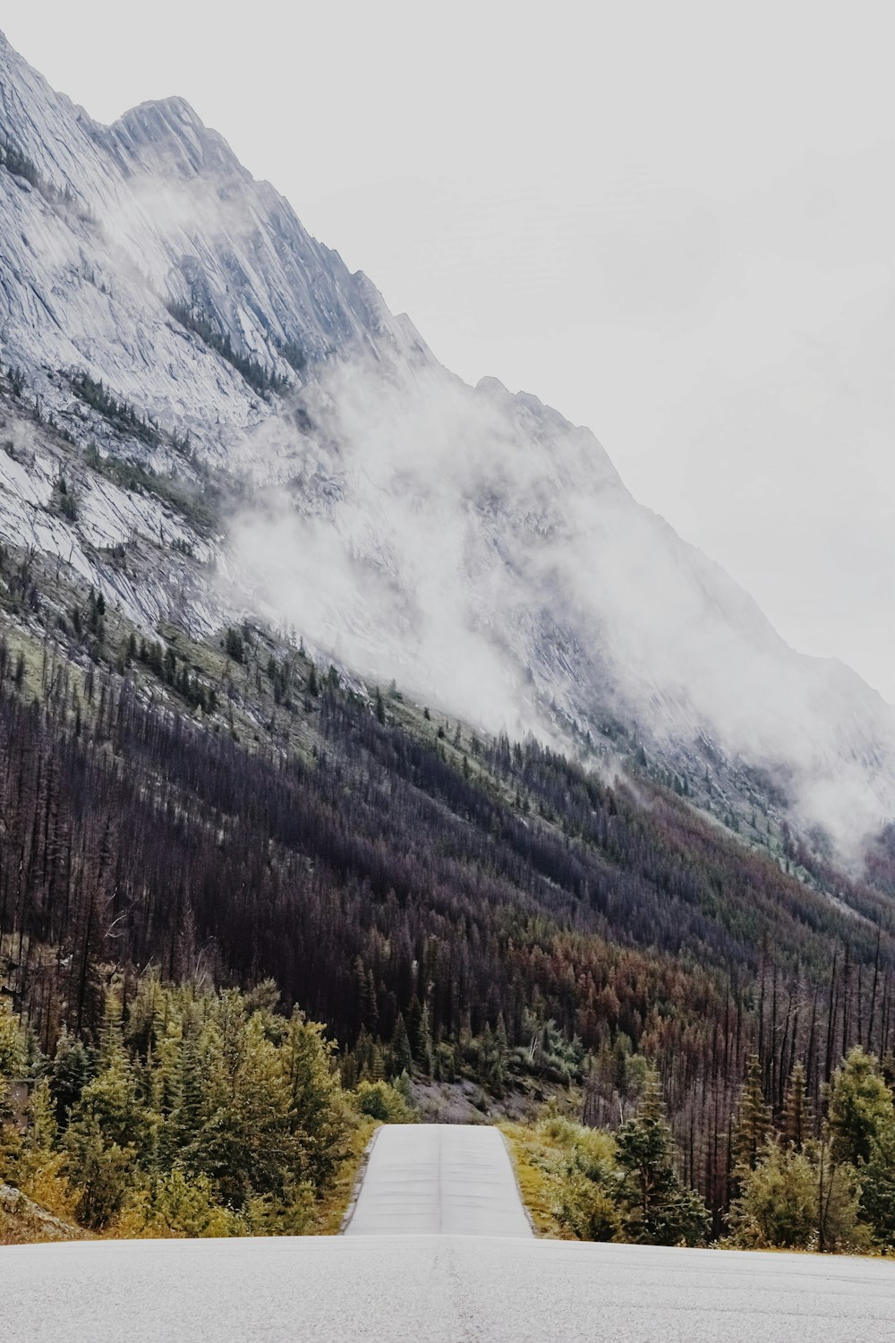 green trees near mountain under white clouds during daytime