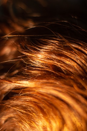 brown hair on black background