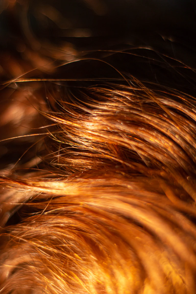 Close-up of fine hair strands