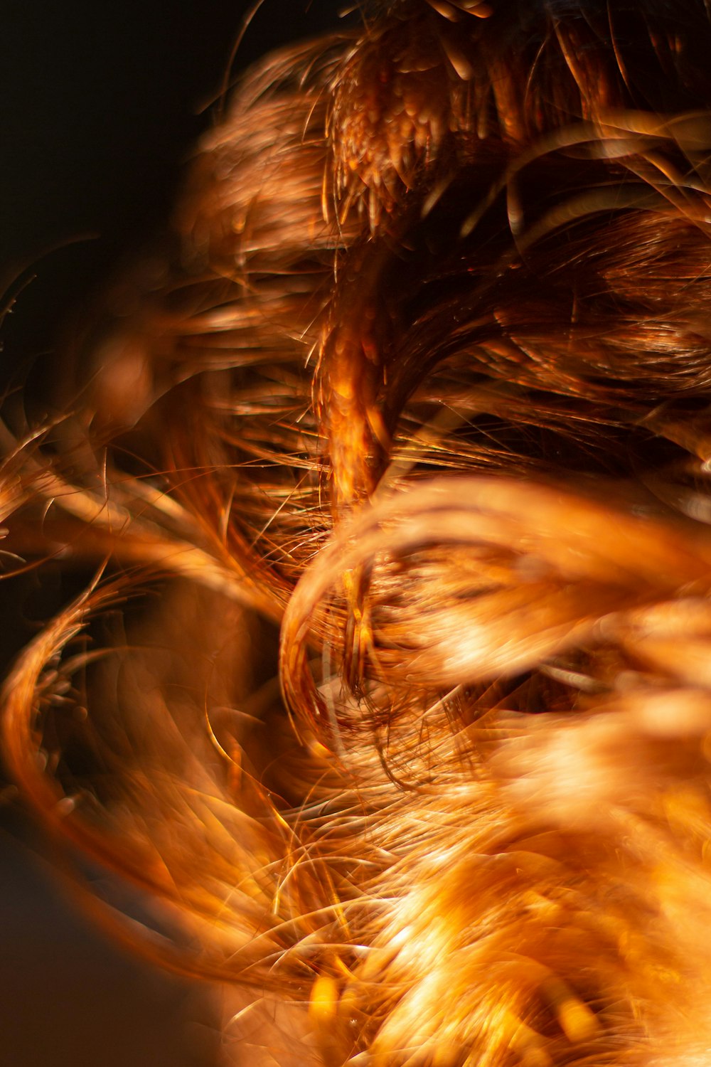 brown hair on black background