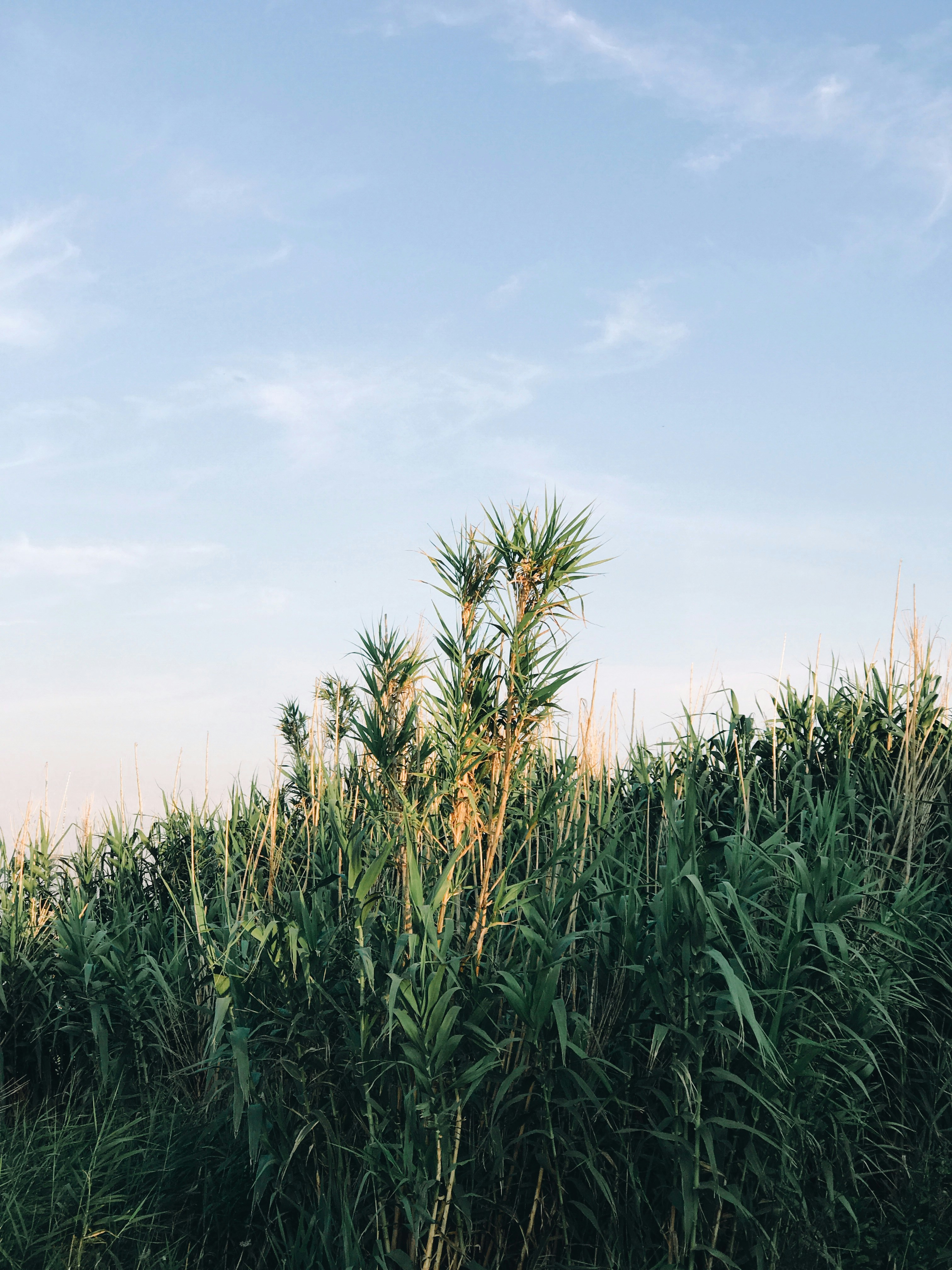 Photo by simebasioli