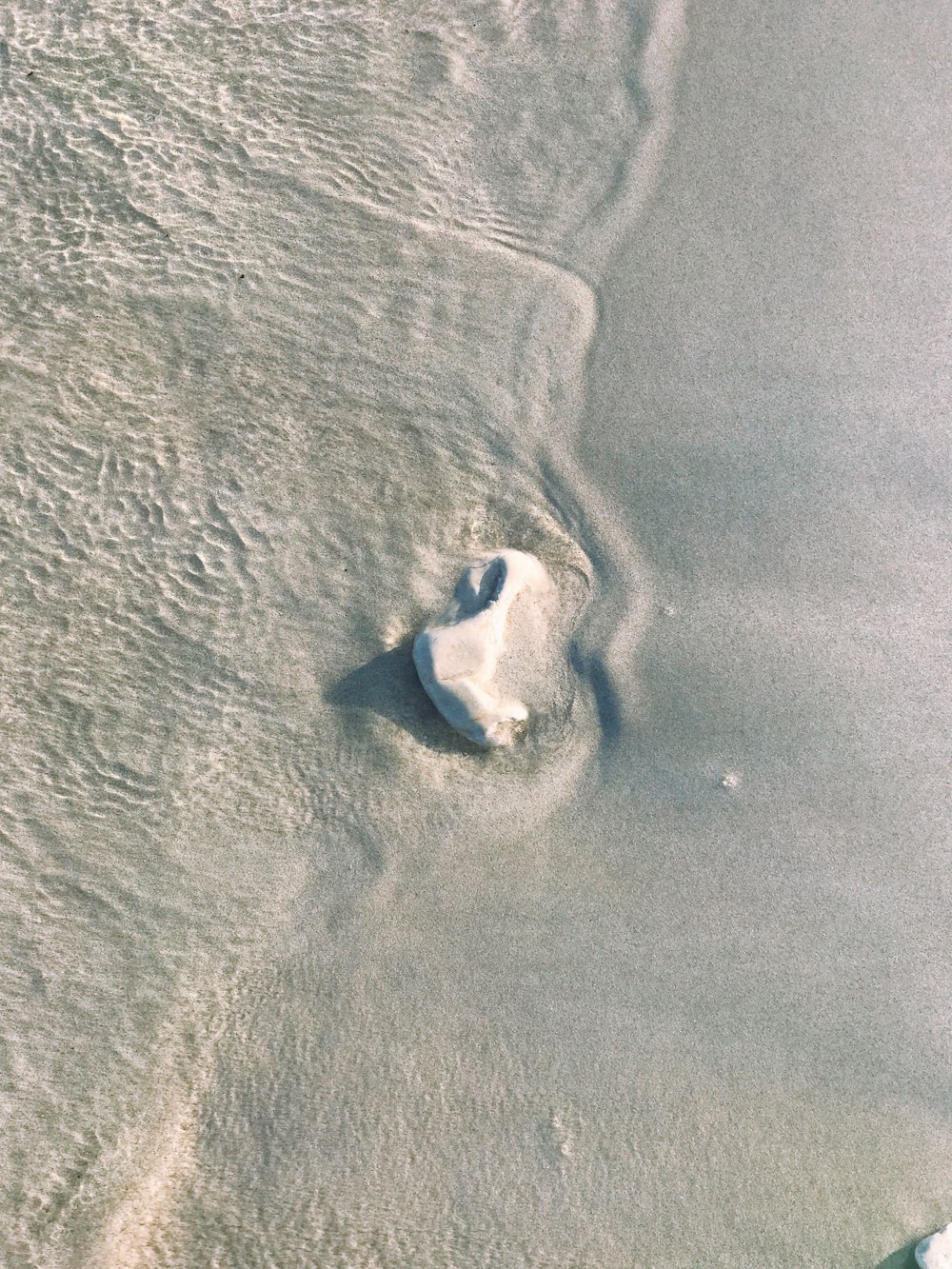 birds eye view of a person in the beach
