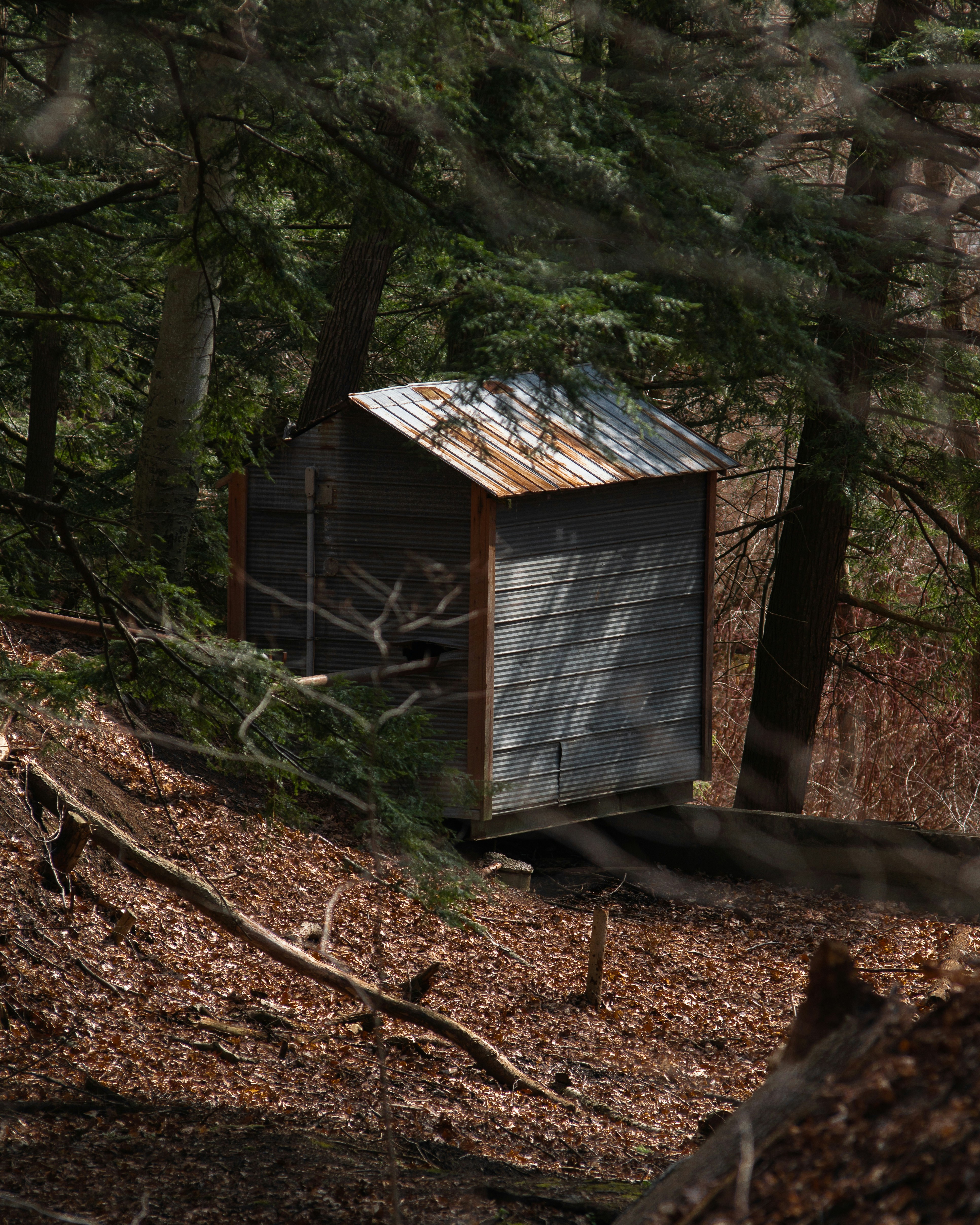 Photo by tfrankcreations