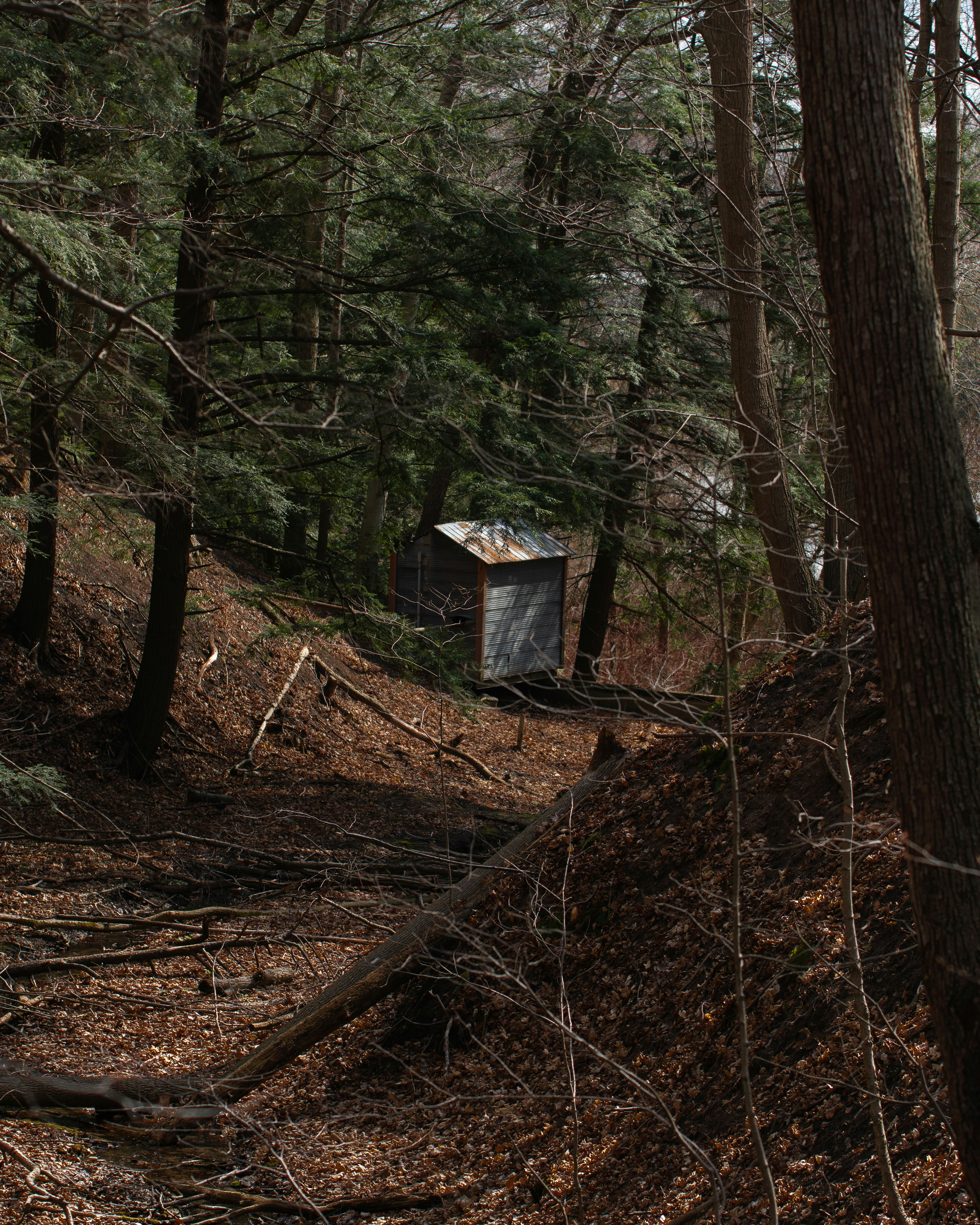 Photo by tfrankcreations