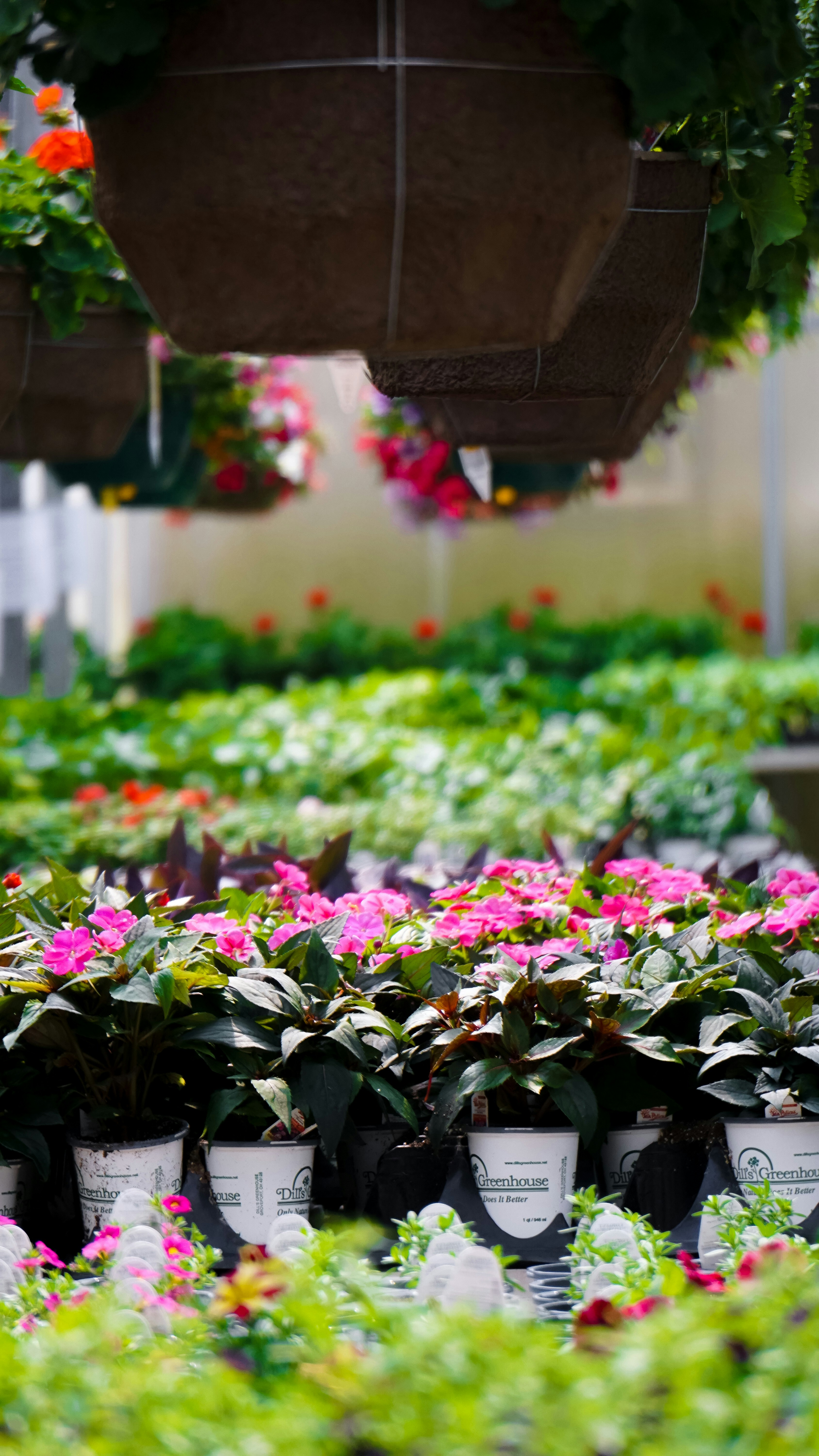 Photo by gainingvisuals