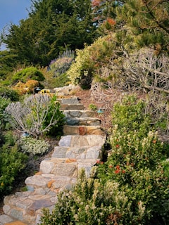 Close-up of a stone pathway winding through a garden filled with colorful seasonal plants