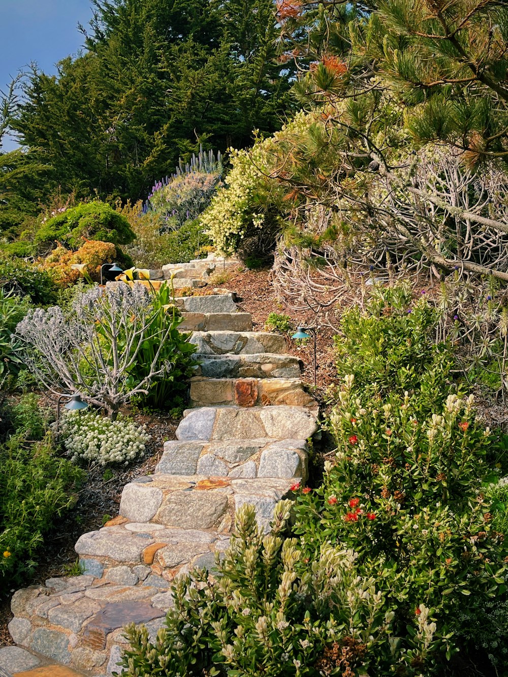 brown brick stairs near green grass during daytime