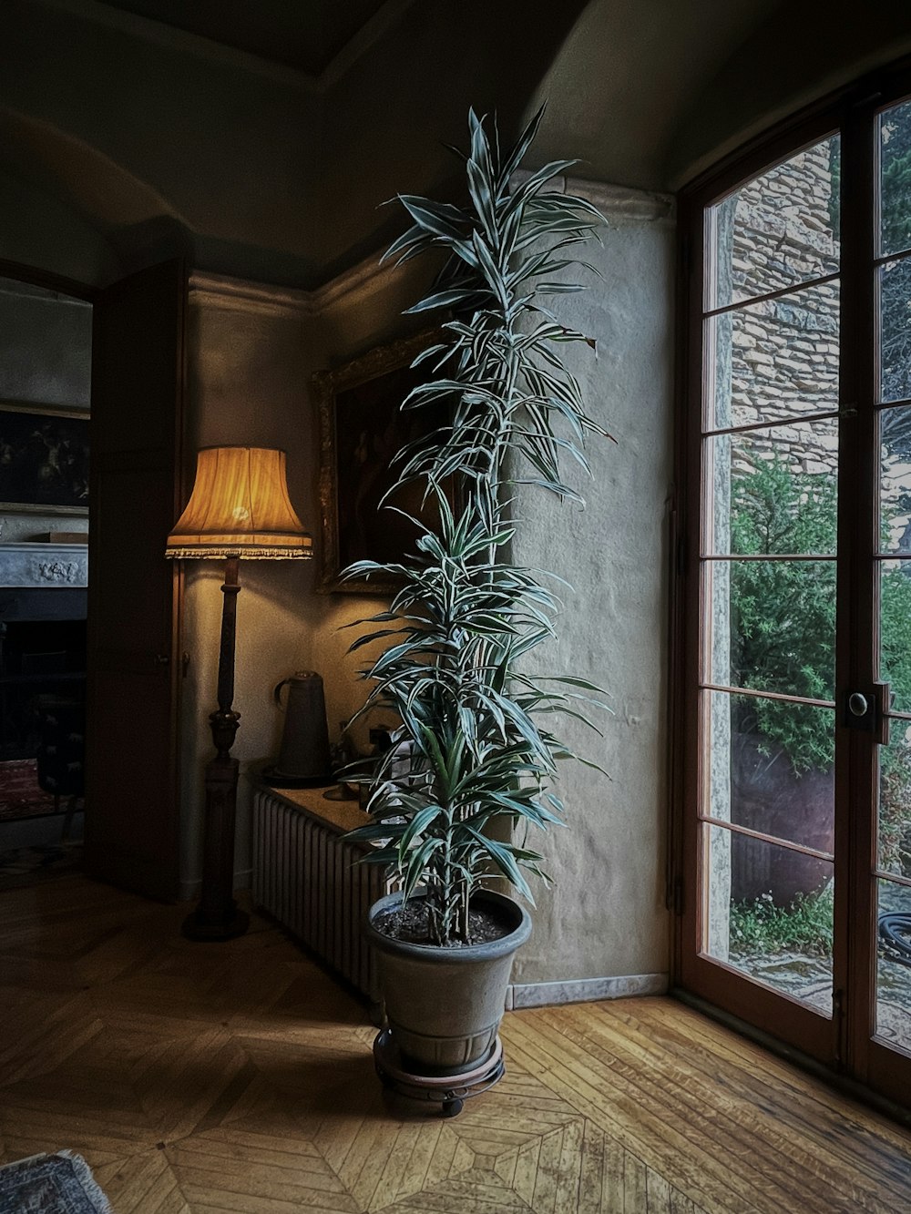grüne Topfpflanze neben Glasfenster
