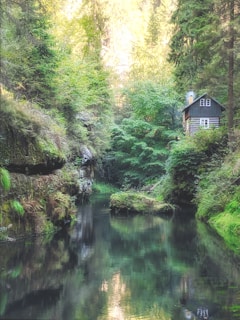 A cozy wooden cabin by a serene river at sunset, inviting calm and relaxation.