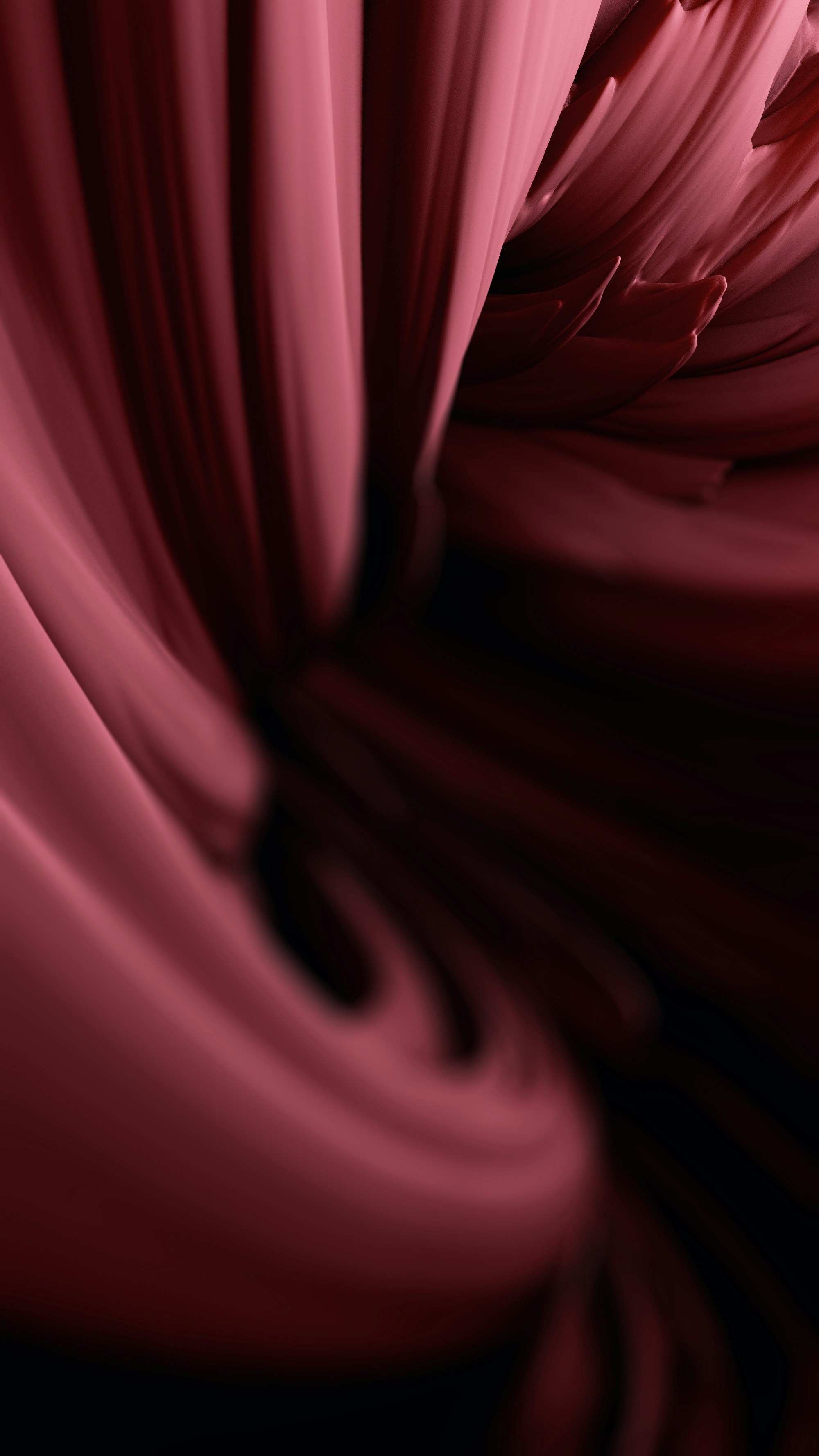 Photo by thekamranzadeh