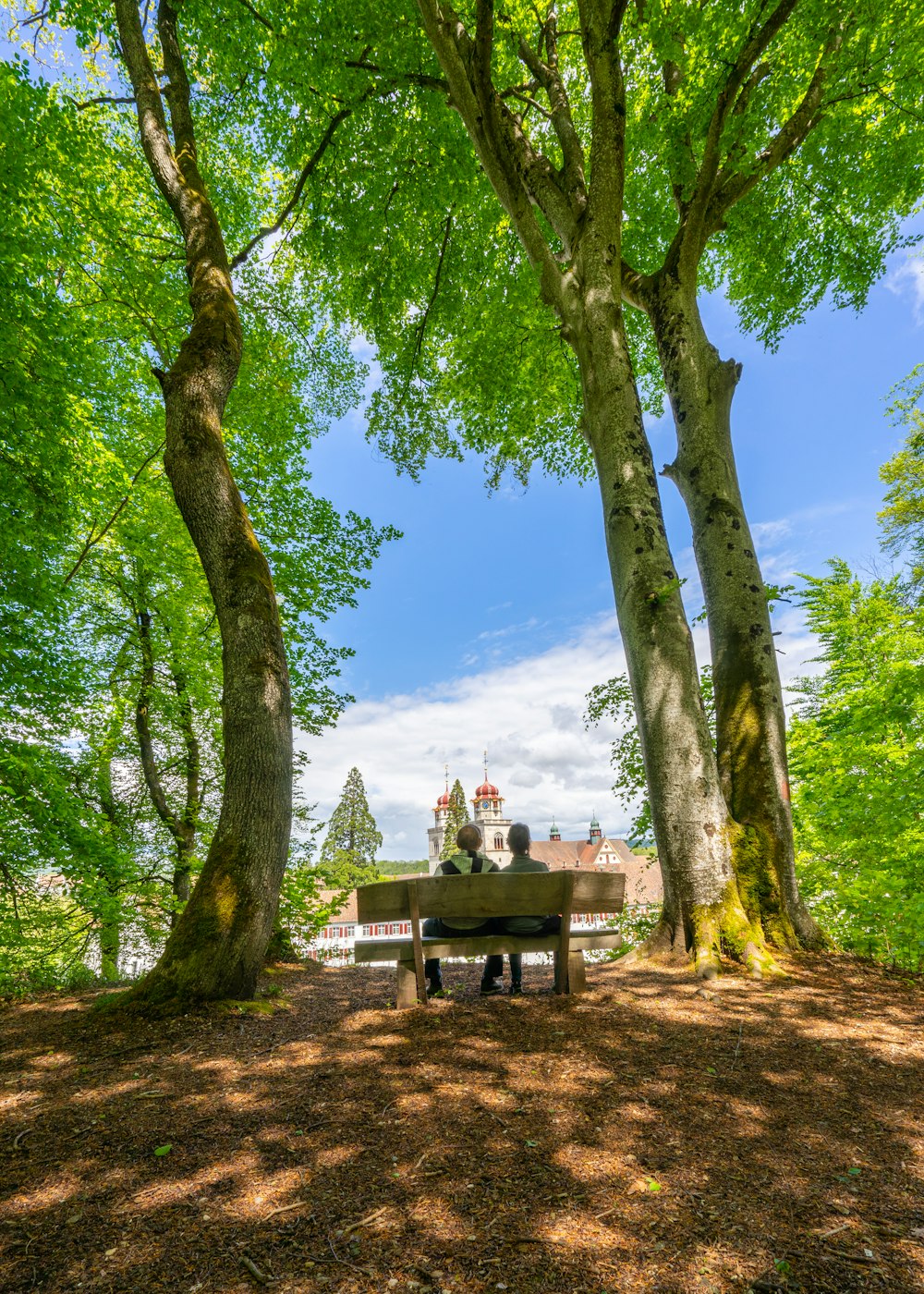brown wooden picnic table under green leaf trees during daytime