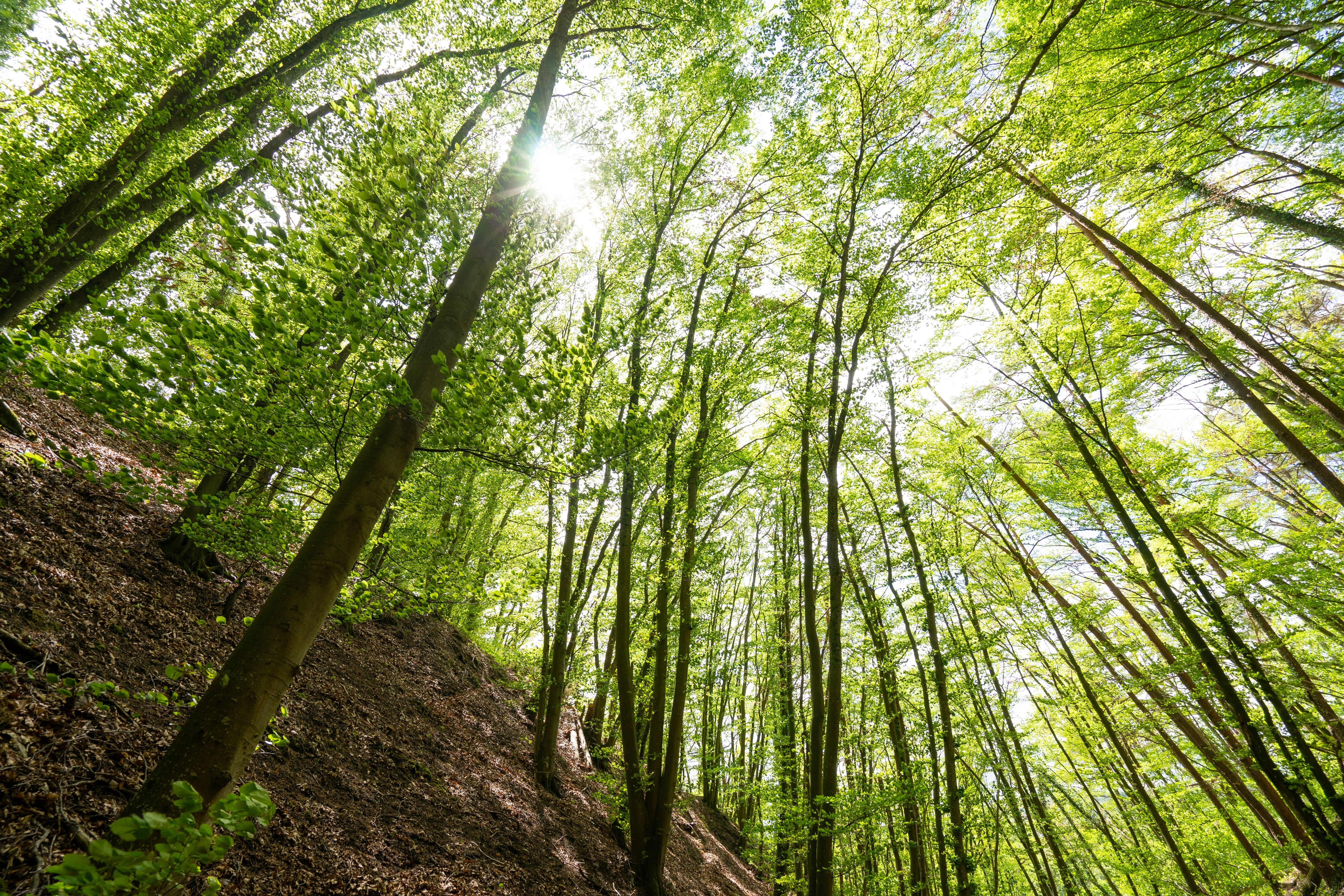 Photo by janikk_fischer