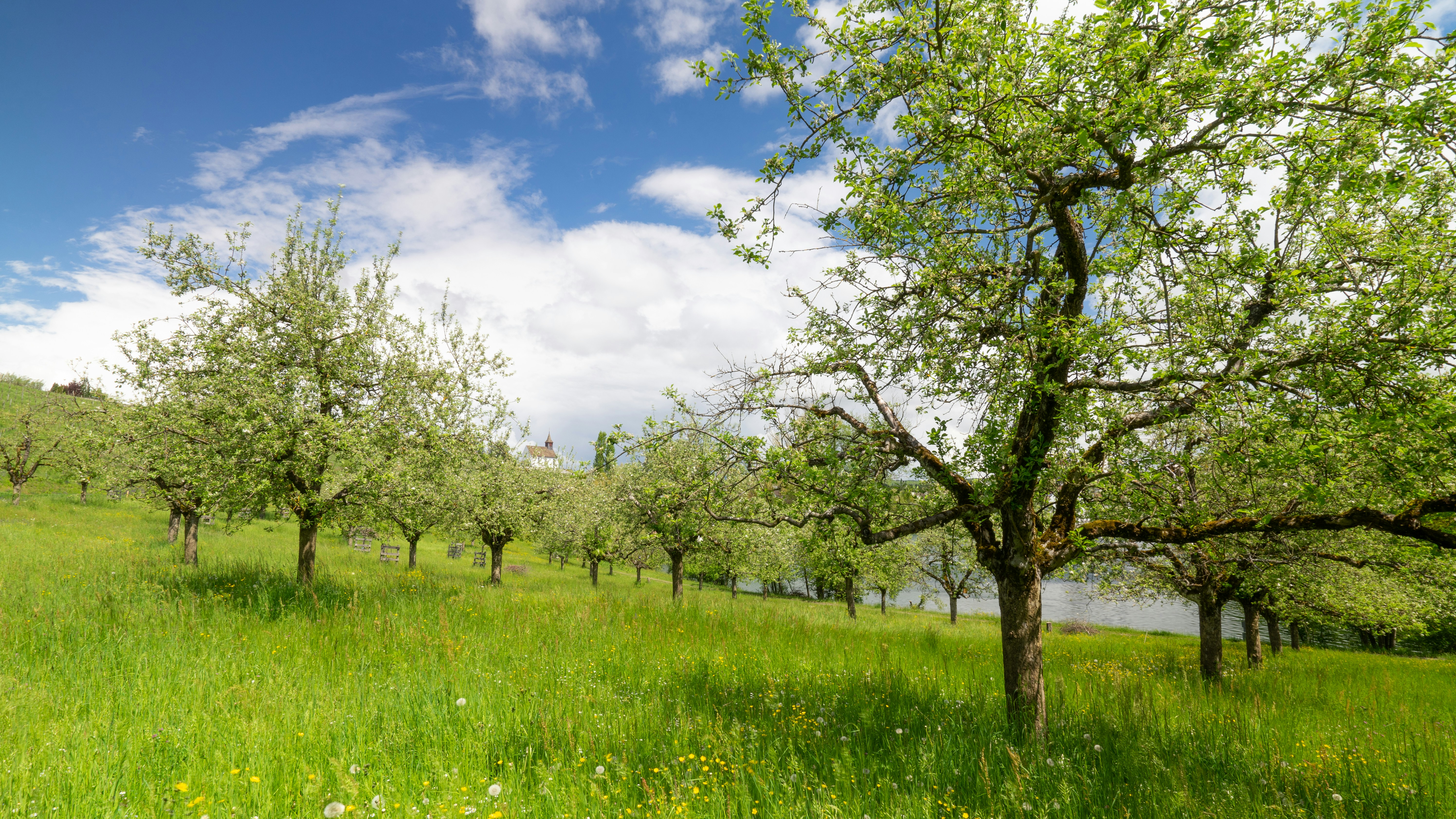 Photo by janikk_fischer