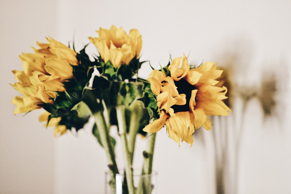 yellow flower in clear glass vase