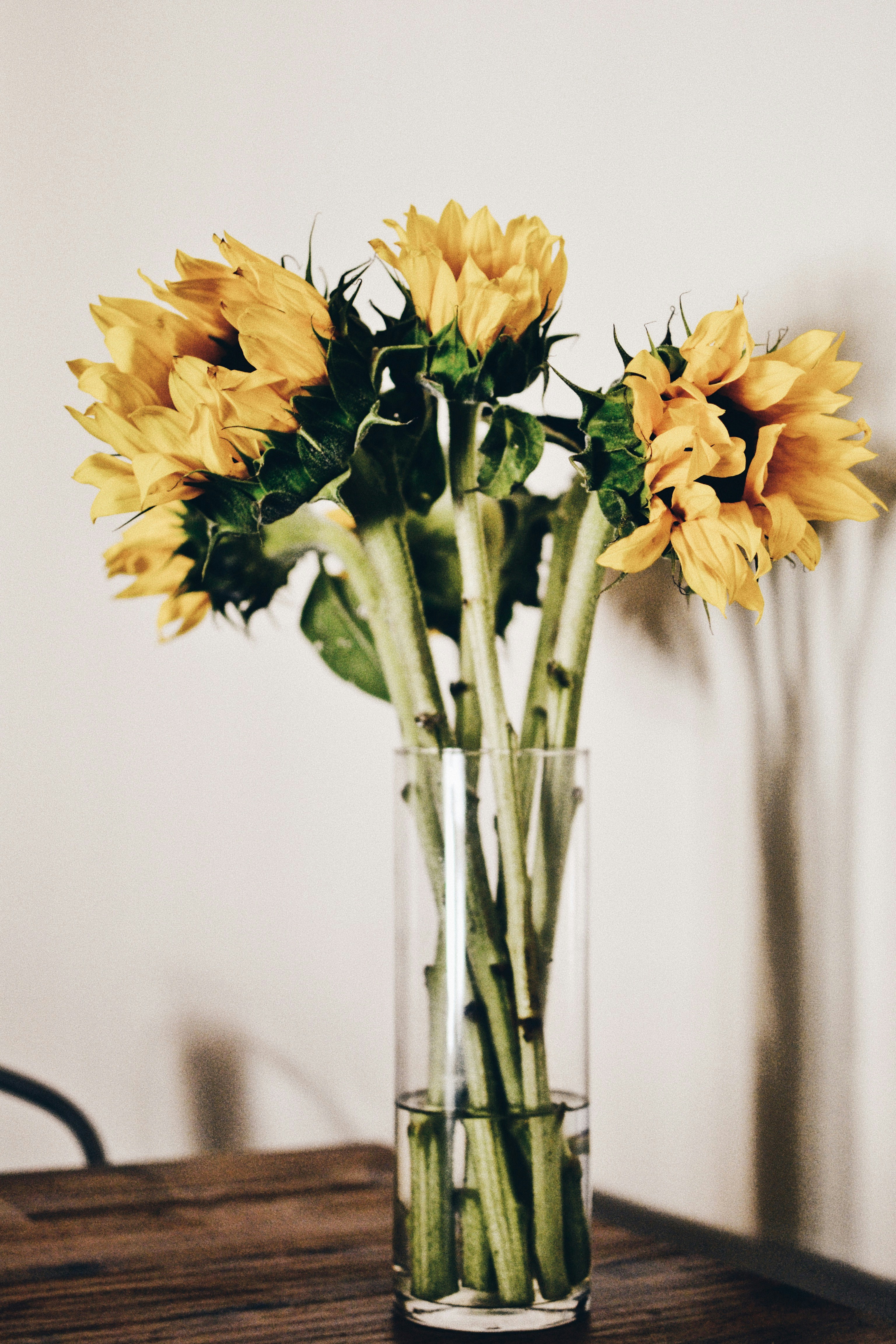 Photo by lttrstofrnds