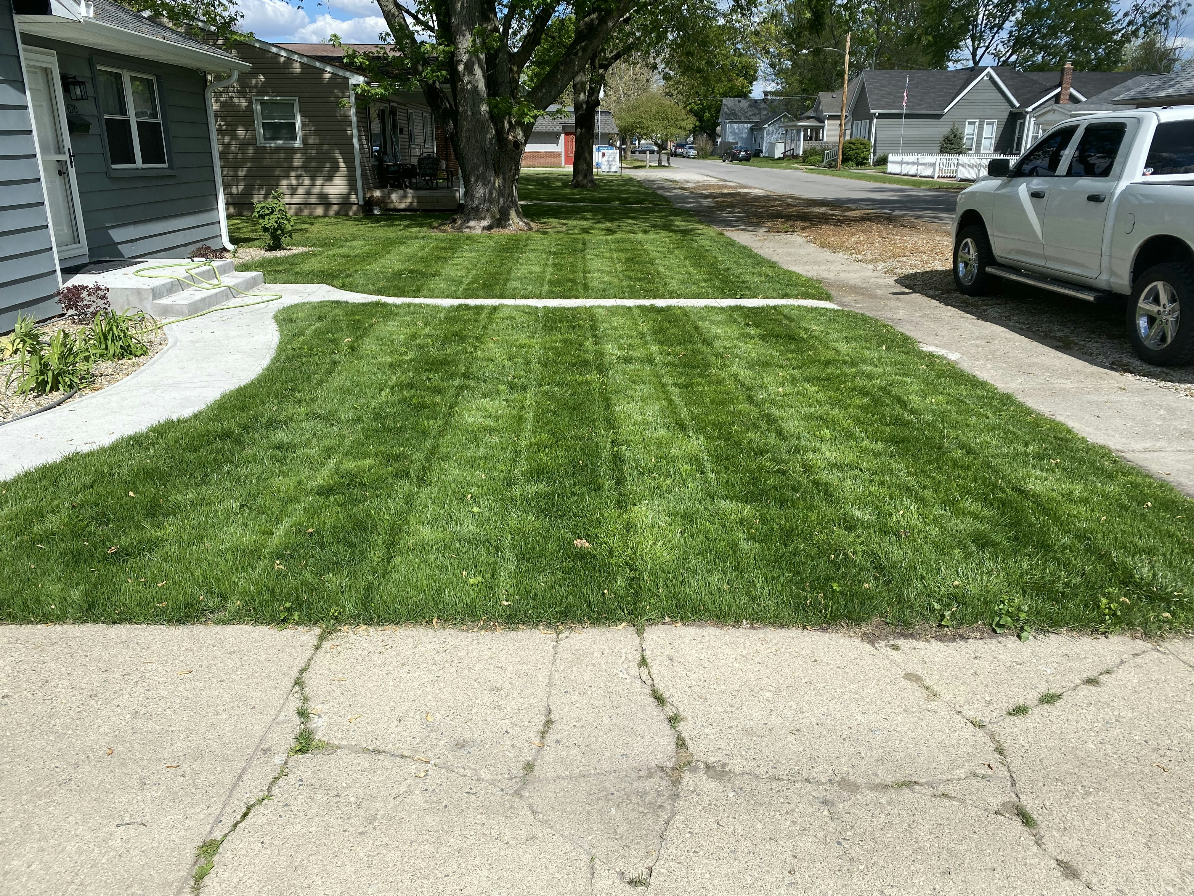 Freshly mowed green lawn with crisp mowing lines in Austin residential yard, bright daylight