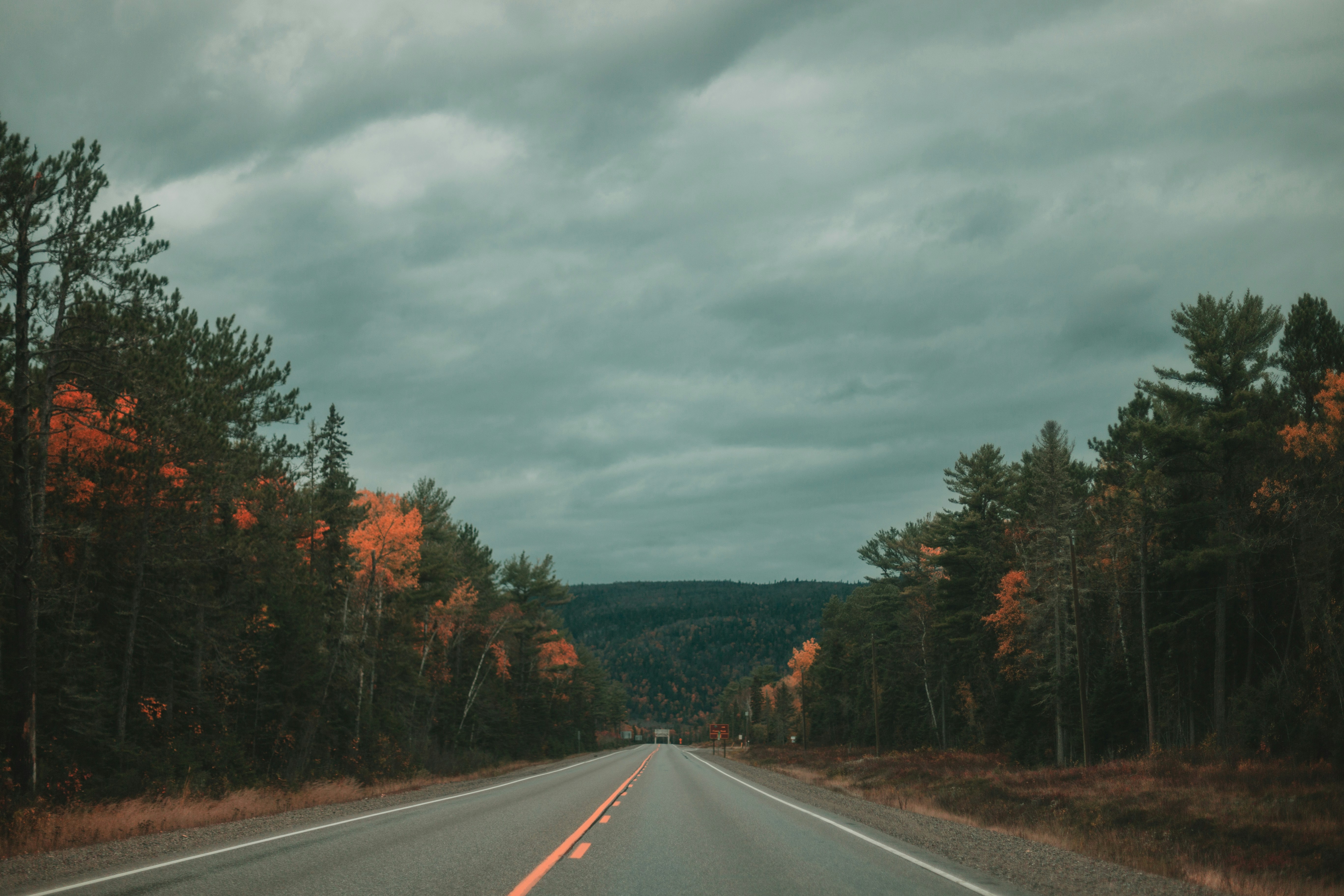 Photo by timothywilliamrose