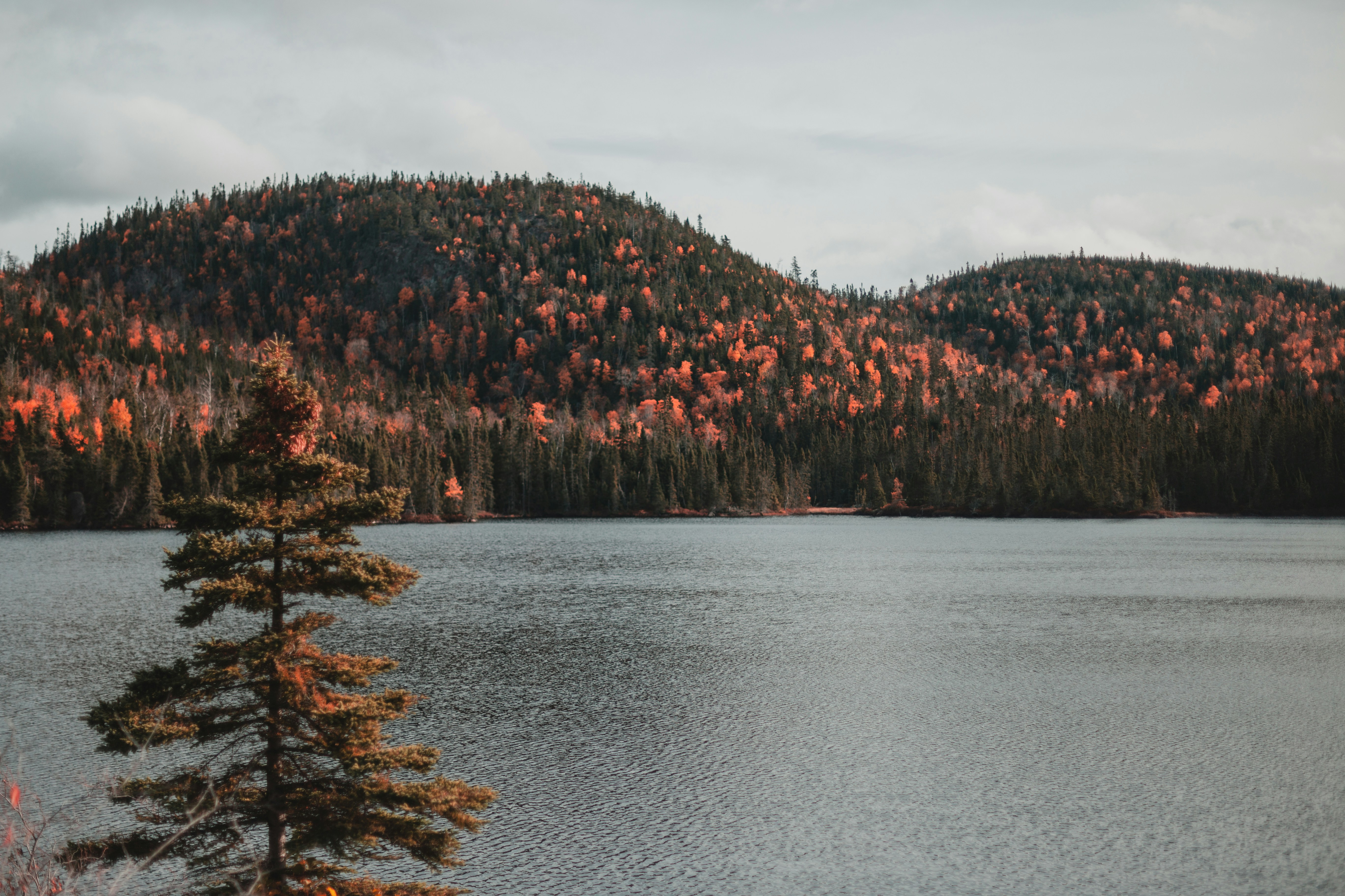 Photo by timothywilliamrose