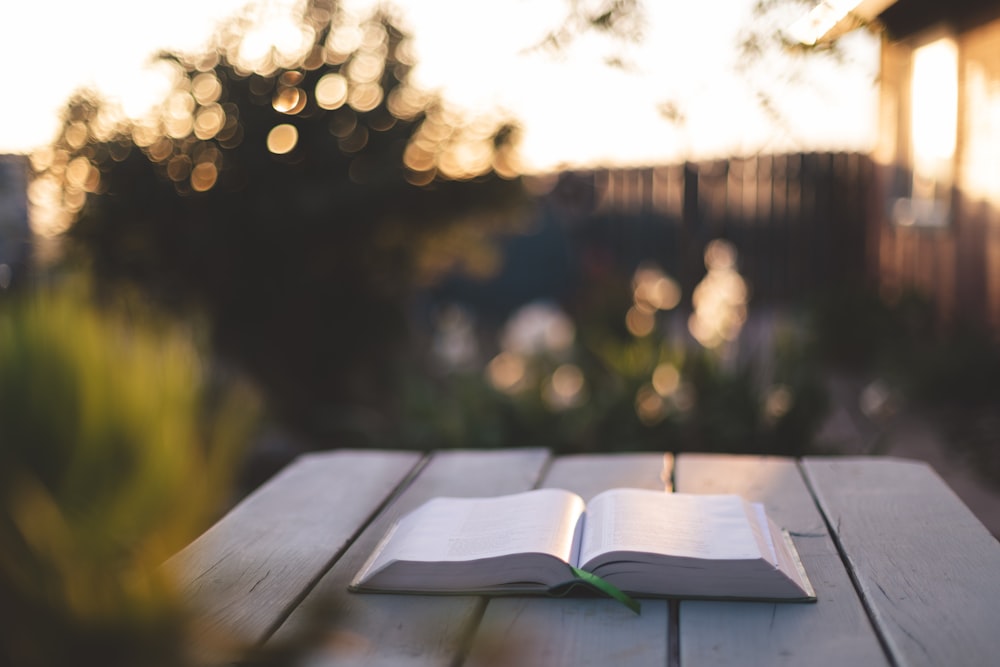 white book on brown wooden table