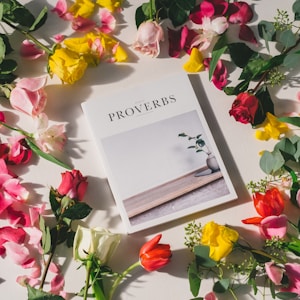 A book titled 'Proverbs' is surrounded by various colorful flowers including roses and tulips. The flowers are laid out on a white surface, creating a vibrant and picturesque arrangement.