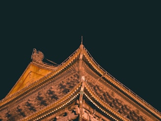 Nighttime view of a roof illuminated by soft work lights, highlighting the texture and detail.