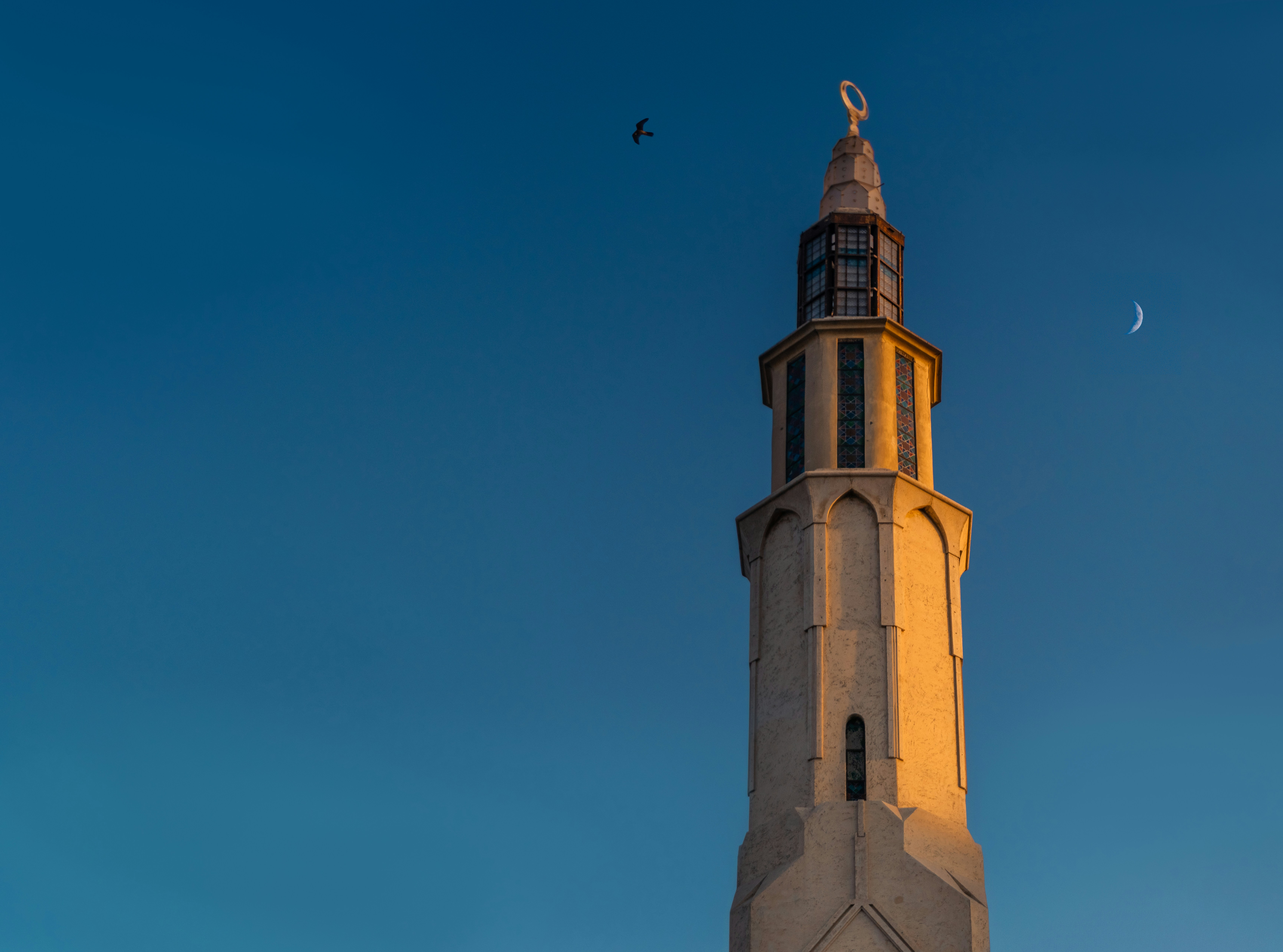 white and brown concrete building under blue sky during daytime